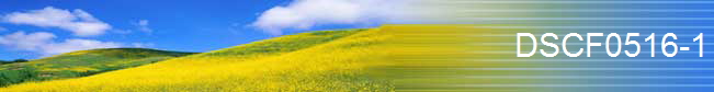 DSCF0516-1