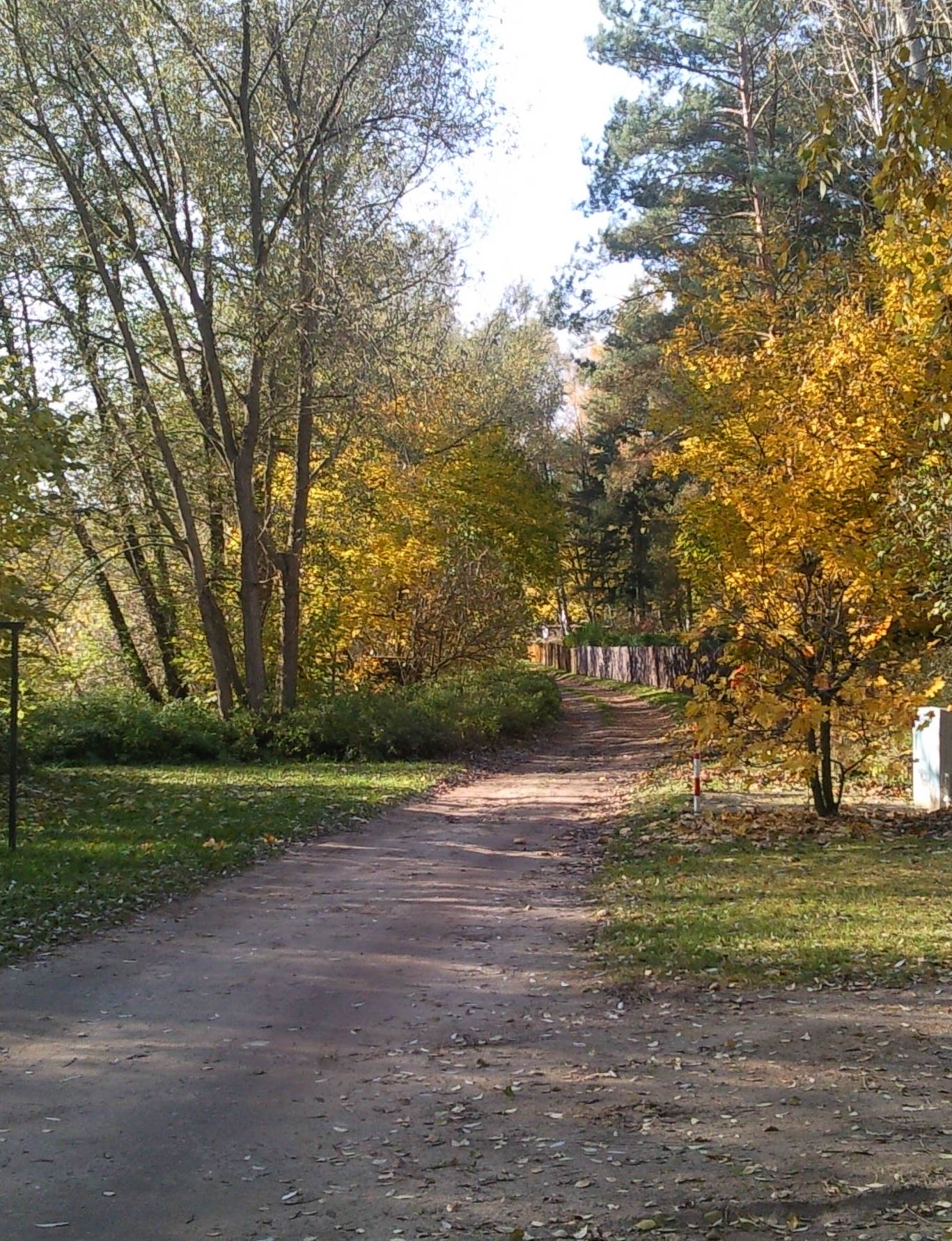Foto0471