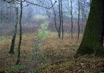 Bild 049