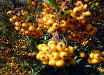 DSC00174