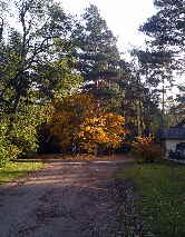 Foto0468
