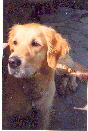 Scannen0004-5