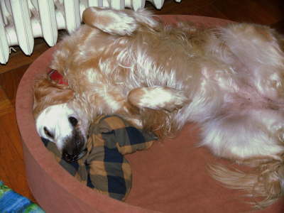 Bild 378-1