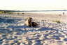Scannen0013-3